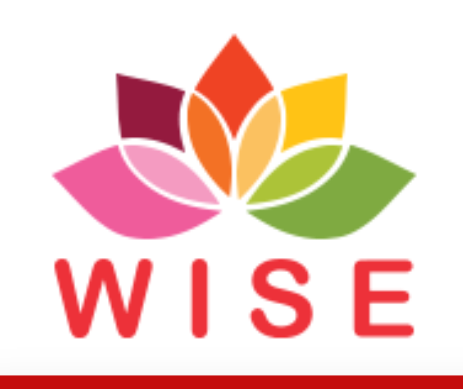 WISE Global Consulting Inc.