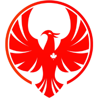 Firebird Consultants Group