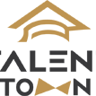 Talent Town Education Consulting