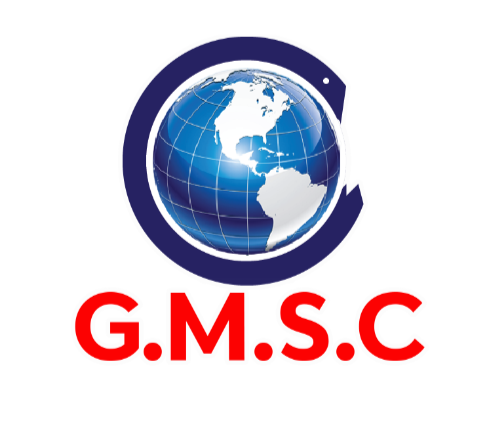 Global Migration Systems Consultancy